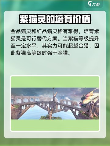 森之国度🔥紫卡超详细解析来啦！✨截图3