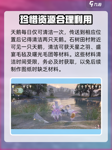无限暖暖🔥玫色天鹅绒获取方式大揭秘！截图4