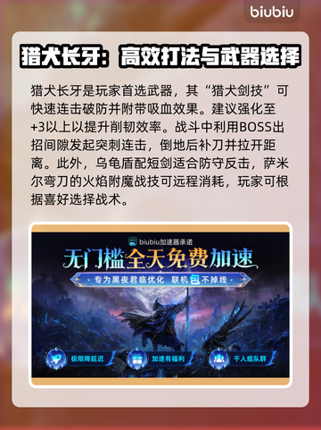 艾尔登法环🔥黑夜君临！萨米尔古英雄打法揭秘✨截图3
