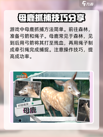 逆境重生母鹿抓捕🔥超简单攻略来啦！🎮截图2