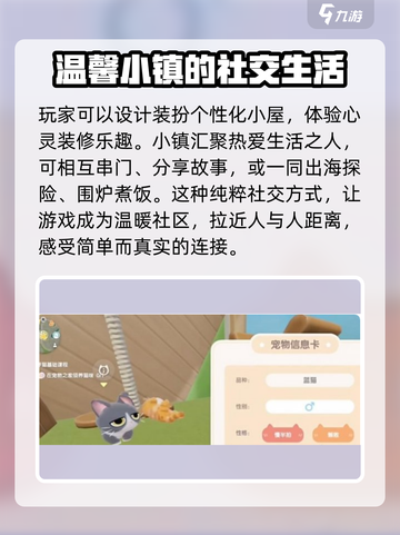 心动小镇：猫咪穿衣服全攻略🐱 快来给你的猫咪打扮吧！截图4