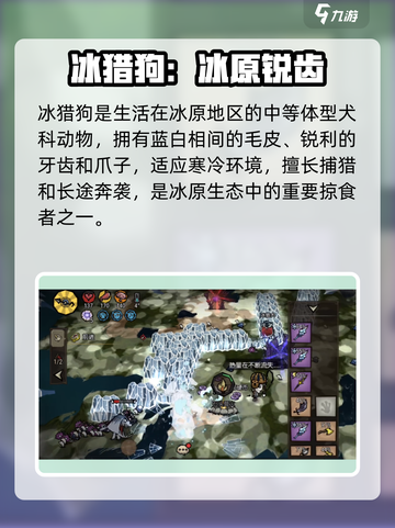 饥荒新家园：冰猎狗🔥超详细解读来啦！截图2