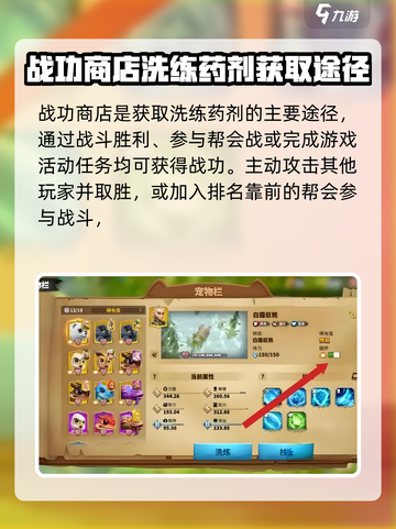 万龙觉醒宠物洗练药怎么弄介绍截图4
