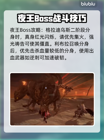 艾尔登法环黑夜君临⚡开荒超全攻略来了！新手必看🔥截图5