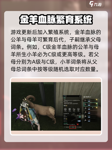七日世界🔥金羊毛获取途径大揭秘！💎截图4