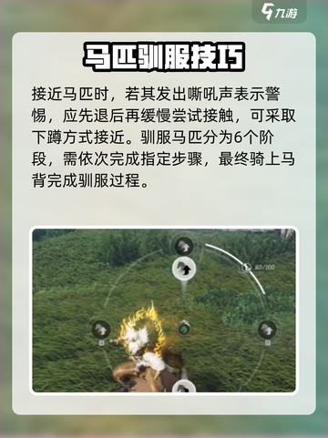 燕云十六声秦马如何抓捕介绍截图3