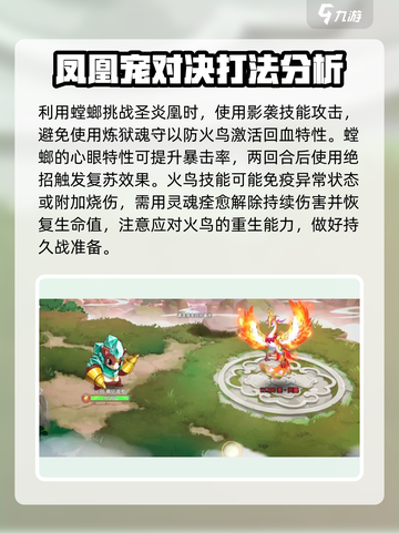 西普大陆手游圣炎凰怎么过介绍截图3