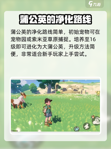 洛克王国手游蒲公英娃娃怎么样介绍截图4