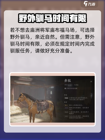 燕云十六声骑马按哪个键介绍截图5