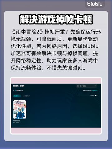 雨中冒险2掉帧？这招让你帧率飞起🚀🎮截图3