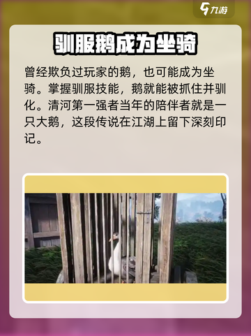 燕云十六声🔥：鹅的隐藏作用大曝光！🎮截图3