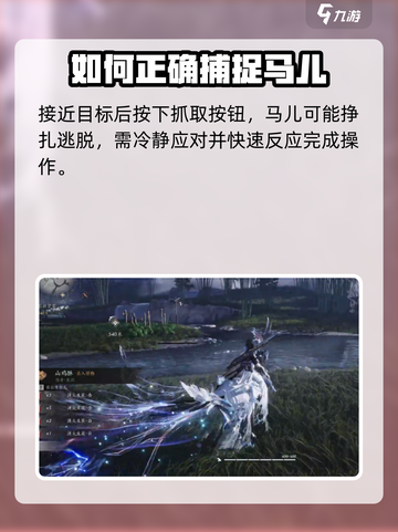 燕云十六声坐骑抓捕方法介绍截图5