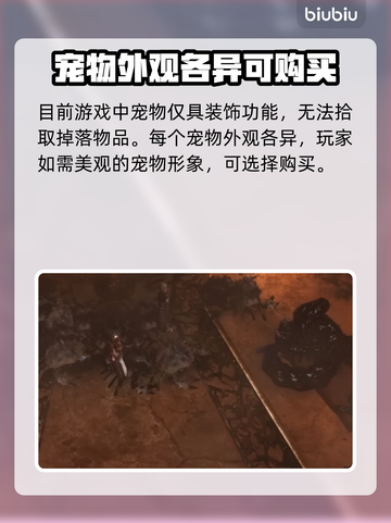 最后纪元🔥宠物获取及作用大全🎮截图2