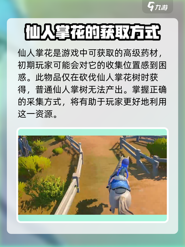 沙石镇时光🔥超稀有掉落物品大曝光！玩家必看💡截图3