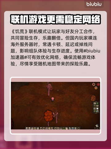 饥荒游戏流畅玩🔥推荐超稳定加速器🎉截图2
