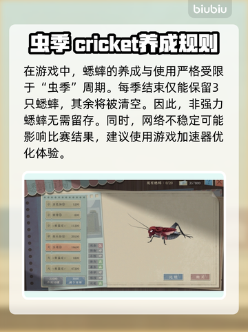 沉默的蟋蟀加速器推荐🎉好用到爆🔥截图2