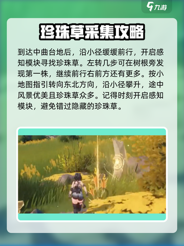 鸣潮💎珍珠草位置大揭秘！玩家必看🔥截图2