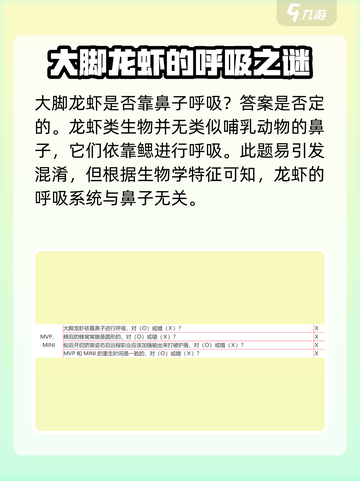 仙境传说新启航答题题目大全介绍截图3
