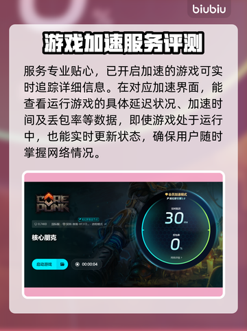 核心朋克闪退？⚡加速器下载地址来了！玩游戏更流畅🔥截图6
