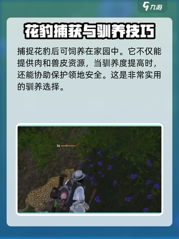 七日世界豹子在哪介绍截图5