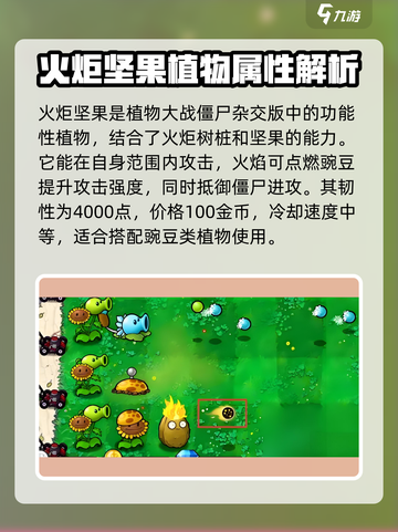 植物大战僵尸：火炬坚果🔥超神属性揭秘！截图2