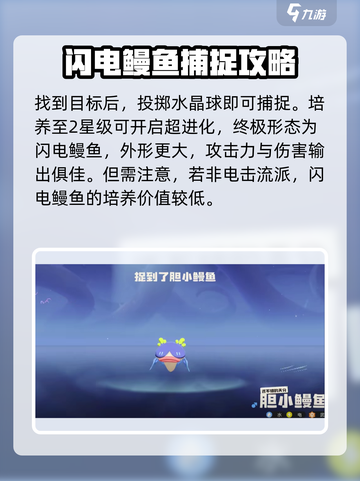 洛克王国世界闪电鳗鱼在哪里获取介绍截图4
