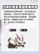 洛克王国世界战斗宠物怎么选介绍截图4
