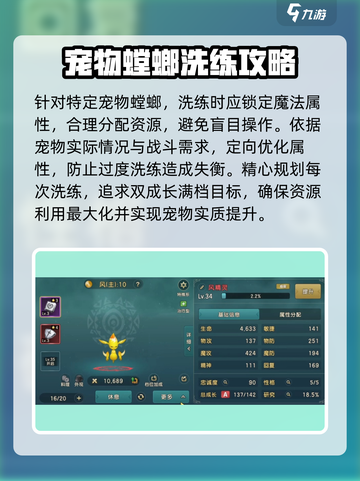 魔力宝贝复兴版🔥宠物洗练终极攻略✨截图4
