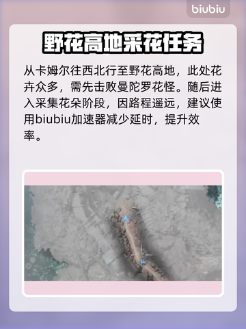 最终幻想7重生🔥山丘花海通关秘籍✨截图4