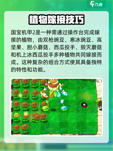植物大战僵尸🔥超全嫁接版植物介绍来啦！截图4