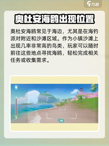 心动小镇🔥海鸥位置大揭秘！快来捕捉✨截图2