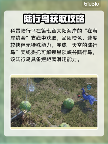 最终幻想7重生！陆行鸟获取全攻略🔥截图5