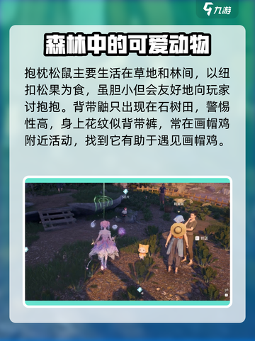 无限暖暖画帽鸡在哪介绍截图4