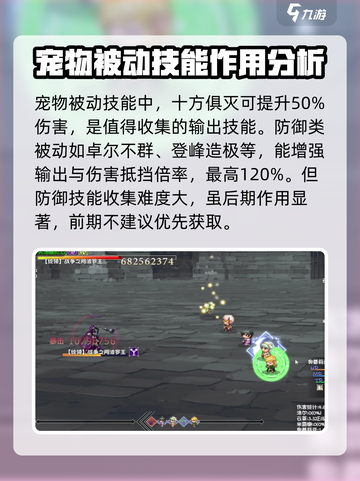 再刷一把2金色传说宠物技能是什么介绍截图3