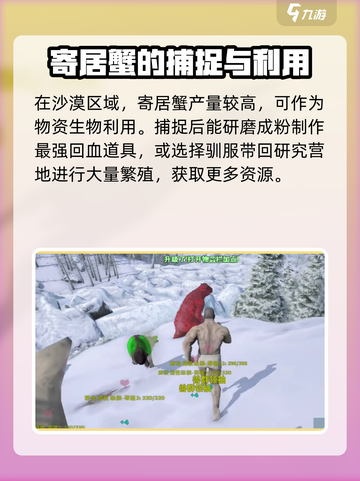 方舟终极移动版虾米是什么介绍截图3