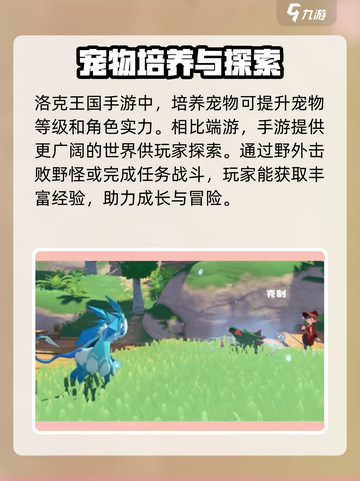 洛克王国💥角色等级飙升秘籍🔥手游党必看！截图3