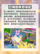 爆裂小队🔥最强阵容曝光，助你轻松制胜！截图5