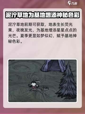 饥荒联机版好看的地皮有哪些介绍截图2