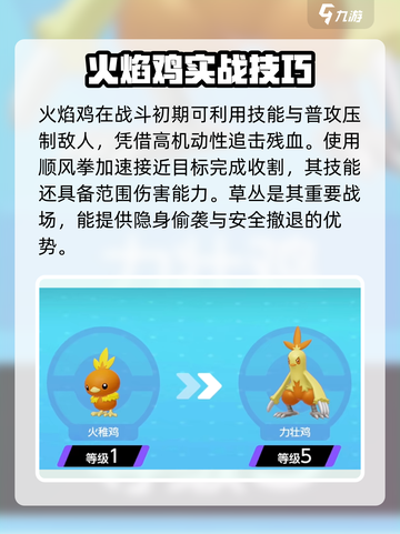 宝可梦大集结火焰鸡一套秒人流搭配介绍截图4