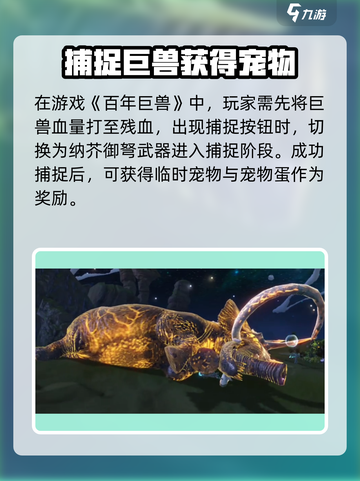 妄想山海🔥单目皮打巨兽超详细攻略来啦！截图4