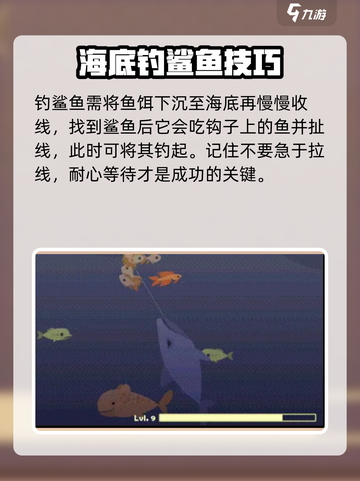 小猫钓鱼🔥钓鲨鱼秘籍🎉游戏名必备技巧截图5