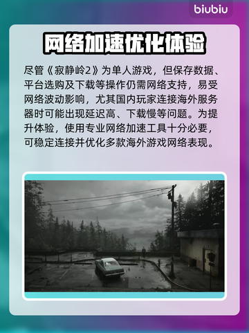 🎮《寂静岭2》掉线？速看优化神器！截图3