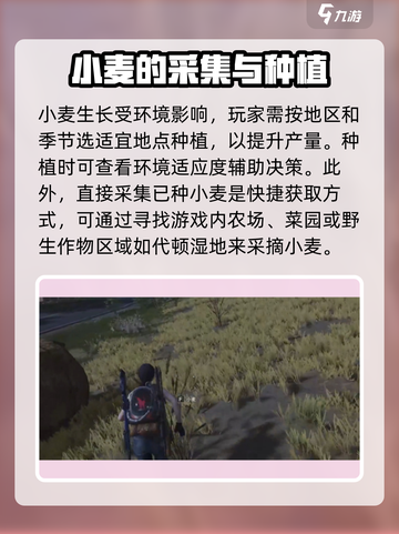 七日世界手游🔥小麦获取全攻略✨截图4