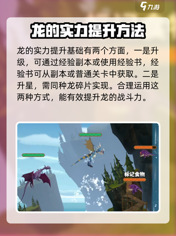 驯龙高手旅程什么时候出来介绍截图5