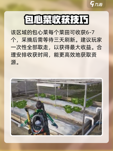 七日世界包心菜如何获取介绍截图5