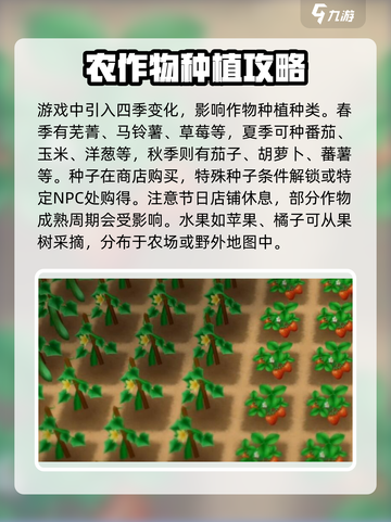 牧场物语重聚矿石镇采集物大揭秘💎截图2