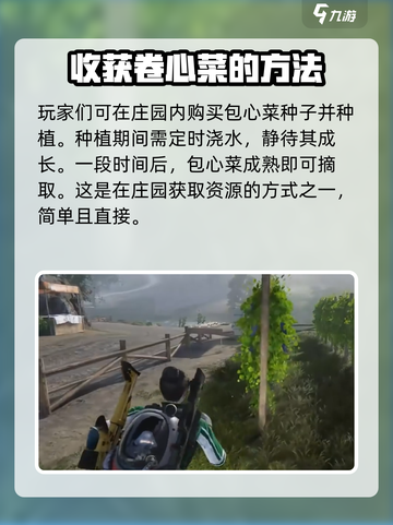 七日世界包心菜如何获取介绍截图3