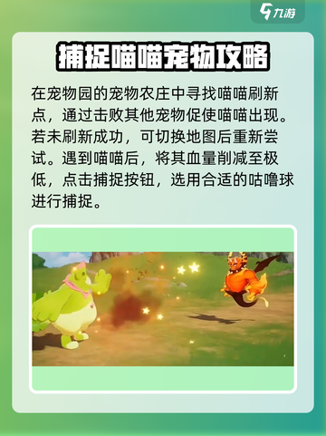 洛克王国手游喵喵捕捉时间🔥必看攻略！截图3