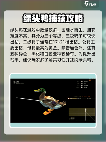 猎人之路🔥绿头鸭抓捕秘籍🎉截图2