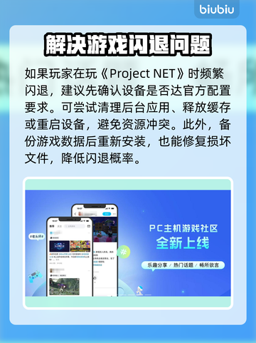 ProjectNET黑屏闪退？❌教你轻松解决卡顿问题！🎮截图2